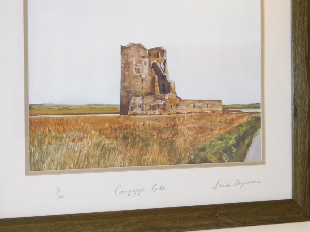 O'Briens Apartments Ballylongford Exteriér fotografie